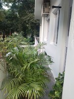 1 BHK 750 Sq.Ft. Builder Floor in Sarita Vihar