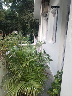 1 BHK Builder Floor For Rent in Sarita Vihar