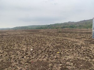 Plot Area in  Plot at Pali – for Sale