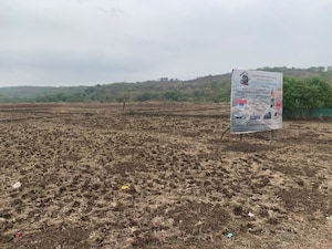 Plot Area in  Plot at Pali – for Sale