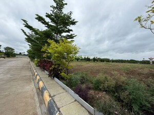 Plot Area in  Plot at Vasudaika Henley Woods, Nagreddipalli – for Sale