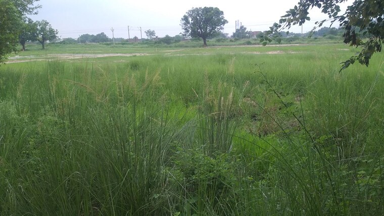 undefined, umaraha  1360 Sq.Ft. Plot In Umaraha Varanasi 10587042