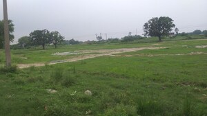 Plot Area in  Plot at Umaraha – for Sale
