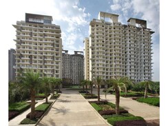3.5 BHK Apartment For Sale in Paras Irene