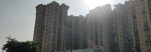 3.5 BHK Apartment For Sale in Amrapali Zodiac, Sector 120