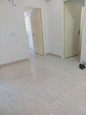 3 BHK Apartment For Rent in Amrapali Kingswood, Sector 4 Greater Noida