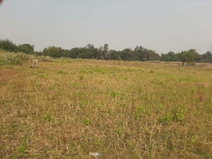  Industrial Plot For Sale in Sanjan