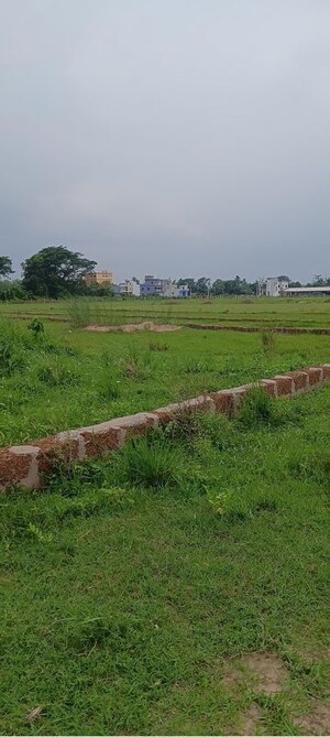 Plot Area in  Plot at Phulnakhara – for Sale