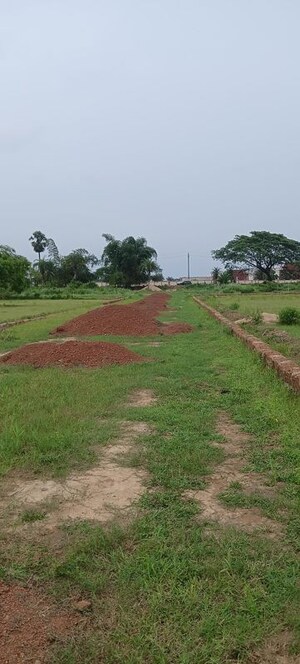  Plot – Garden View at Phulnakhara - for Sale