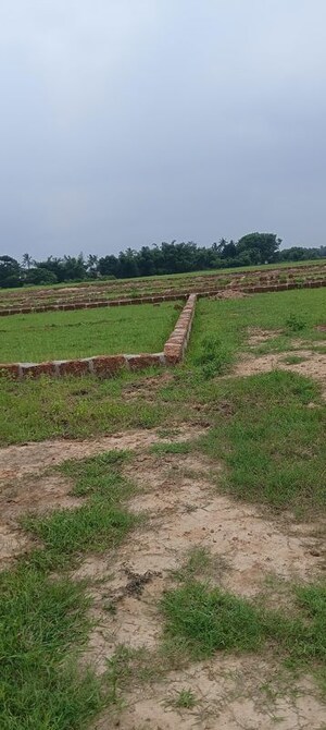 Plot Area in  Plot at Phulnakhara – for Sale