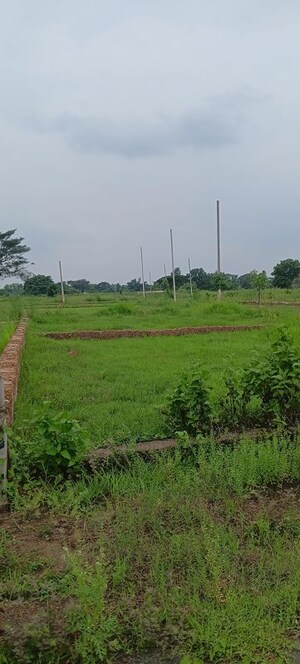 Plot Area in  Plot at Phulnakhara – for Sale