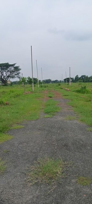 Plot Area in  Plot at Phulnakhara – for Sale