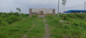  Plot – Exterior View View at Phulnakhara - for Sale