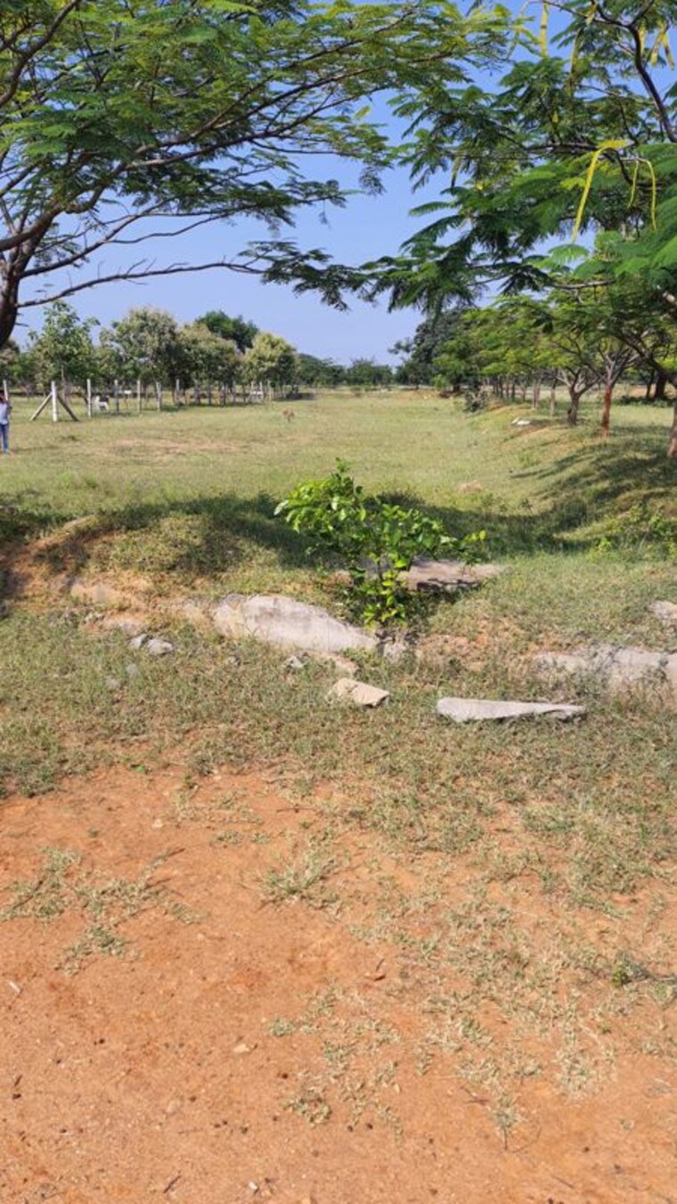 undefined, nizampet  150 Sq.Yd. Plot In Nizampet Hyderabad 10539408