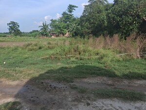 Plot Area in  Land at Turki – for Sale