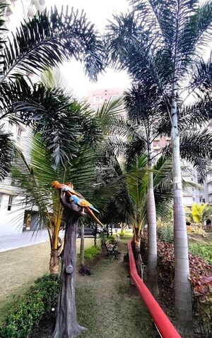 2 BHK Apartment – Garden View at Magnolia Oxygen, Rajarhat - for Sale