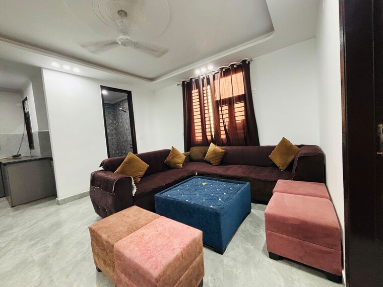 Living Room, freedom fighters enclave 1 Bedroom 440 Sq.Ft. Apartment In Freedom Fighters Enclave Delhi 10588381