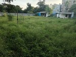 1000 Sq.Yd. Land in Lavista Waterfront