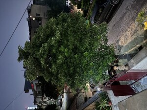 3 BHK Independent House – Exterior View View at Sector 52 - for Rent