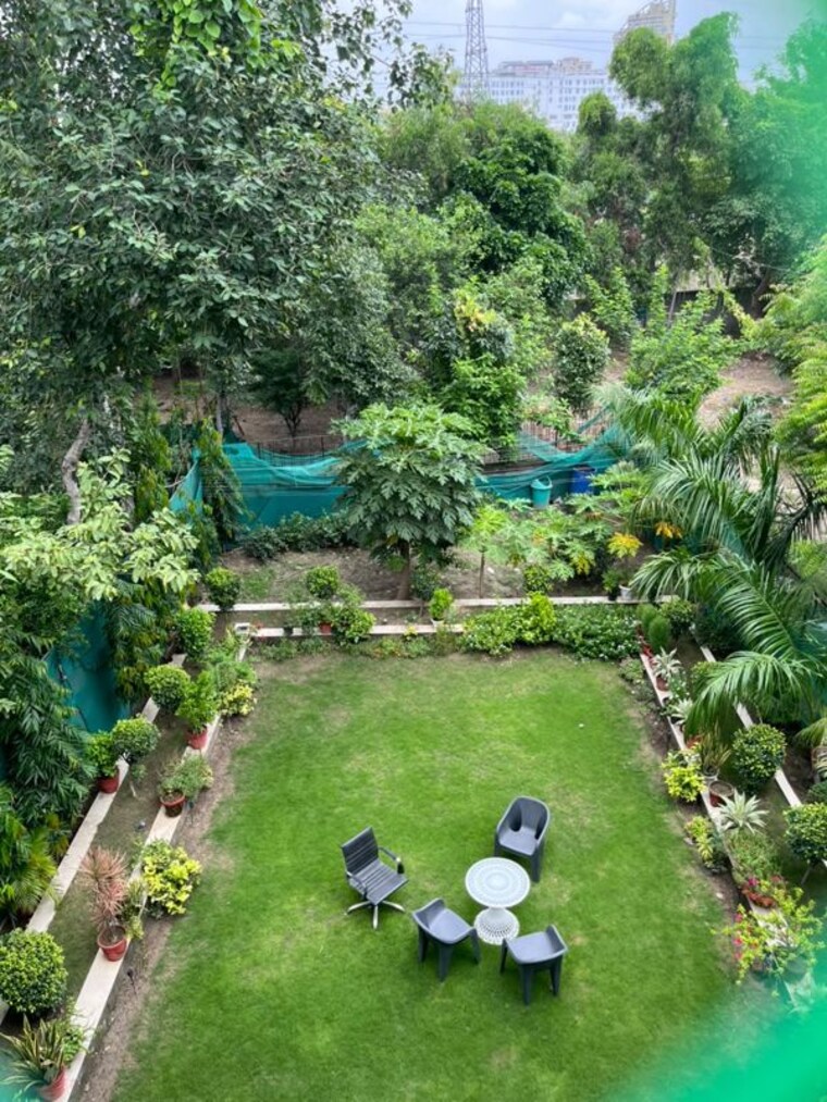 Garden, sector 50 4 Bedroom 250 Sq.Ft. Independent House In Sector 50 Noida 10588627