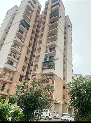 1 BHK Apartment For Rent in Auric City Homes, Sector 82