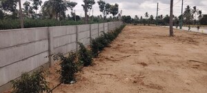 Plot Area in  Plot at Ittangur – for Sale