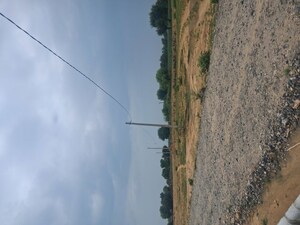  Plot For Sale in Sohna