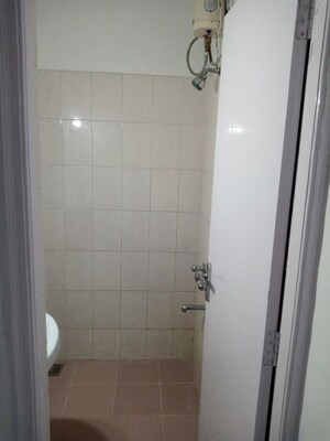 Bathroom in 1 BHK Apartment at Eden Park, Viman Nagar – for Rent