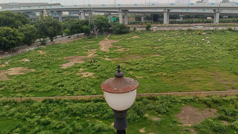 Garden, sector 23 dwarka 2 Bedroom 710 Sq.Ft. Builder Floor In Sector 23 Dwarka Delhi 10588930