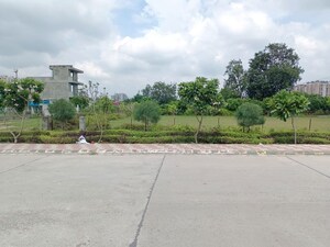 Plot Area in 3 BHK Builder Floor at Amolik Residency, Sector 86 – for Sale