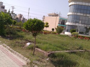  Plot – Exterior View View at SBP Hillwood Greens, Lalru - for Sale