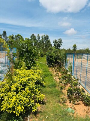 Plot – Exterior View View at Whitefield - for Sale
