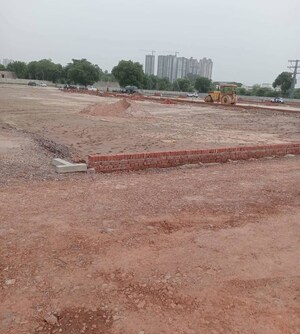 Plot Area in  Plot at Sector 148 – for Sale