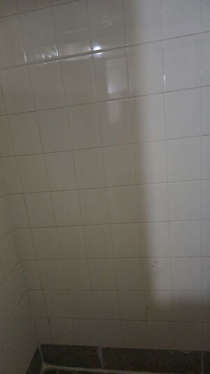 Bathroom in 2 BHK Apartment at Siddhachal Phase 8 Building No. 4 Chs Ltd, Manpada – for Rent