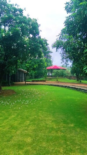 3 BHK Builder Floor – Garden View at Mandi - for Sale