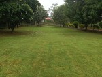 3 BHK 1150 Sq.Ft. Builder Floor in Mandi