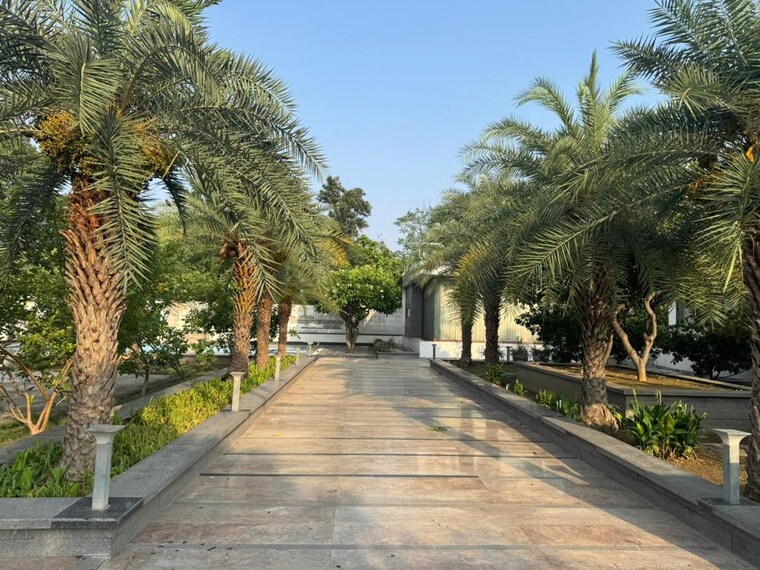 Garden, mandi 3 Bedroom 1150 Sq.Ft. Builder Floor In Mandi Delhi 10587877