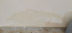 2.5 BHK Apartment For Rent in Eros Sampoornam III, Sector 2 Greater Noida