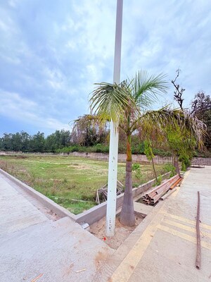 Plot Area in  Plot at Biharigarh – for Sale