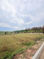 219 Sq.Yd. Plot in Biharigarh