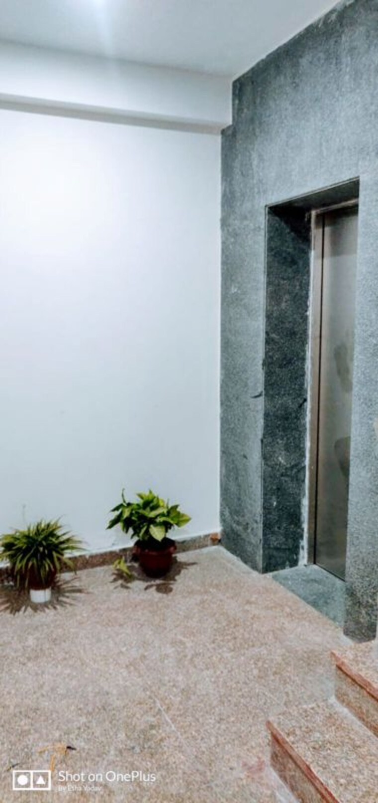 undefined, sector 46 4 Bedroom 263 Sq.Yd. Builder Floor In Sector 46 Gurgaon 10589974