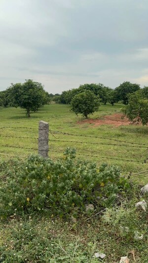 Plot Area in  Plot at Surampalli – for Sale