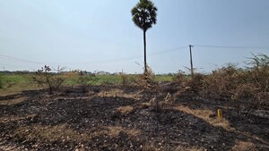 Plot Area in  Plot at Surampalli – for Sale