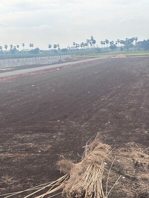 Plot Area in  Plot at Nepalle – for Sale