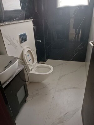 Bathroom in 3.5 BHK Apartment at The Palash Homes, Dhakoli – for Rent