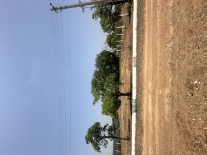 Plot Area in  Plot at Moinabad – for Sale