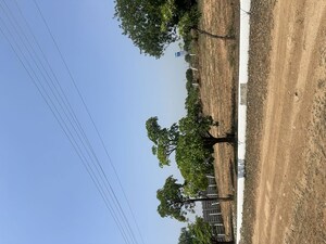 Plot Area in  Plot at Moinabad – for Sale