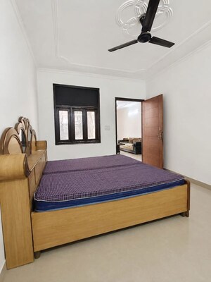 1 BHK Apartment For Rent in Freedom Fighters Enclave