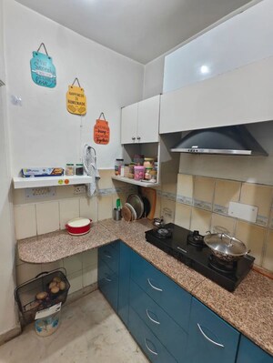 Team Area in 3 BHK Builder Floor at Malviya Nagar – for Rent