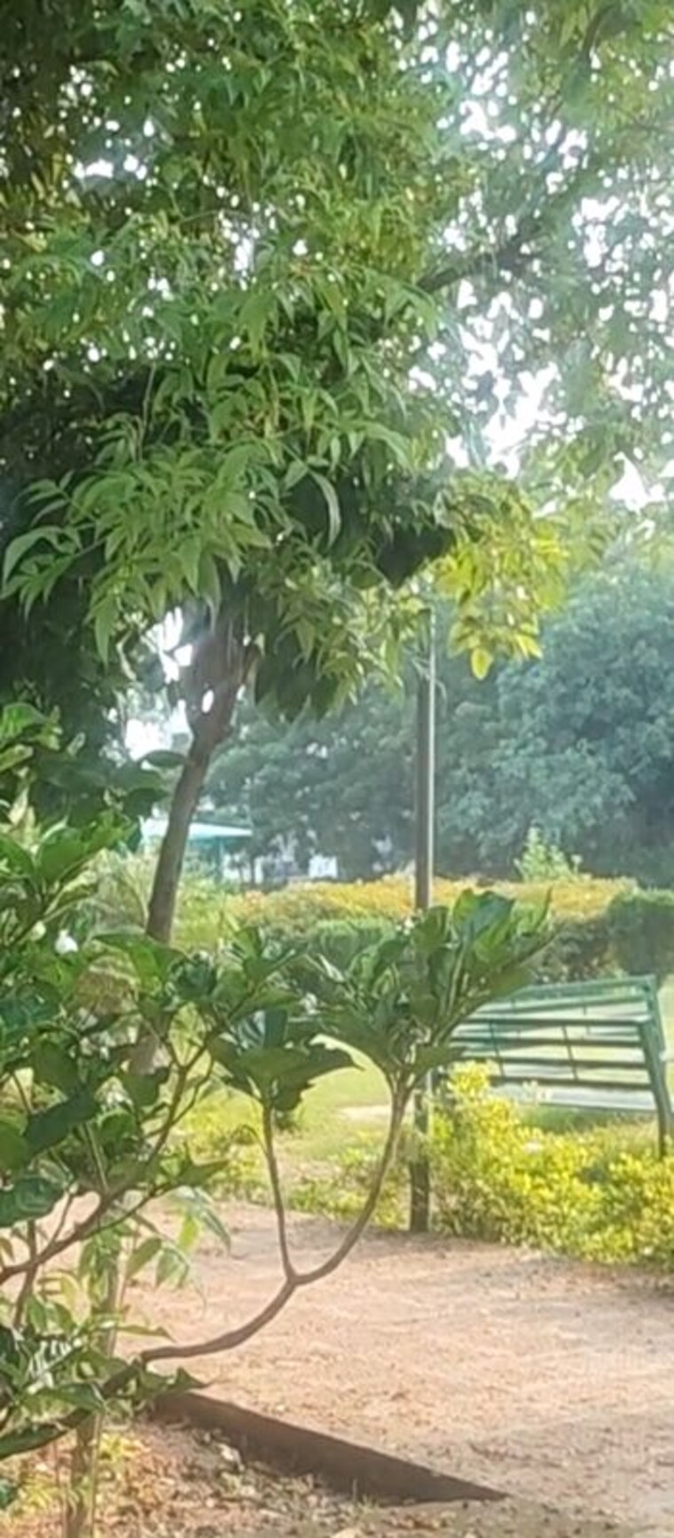 Garden, gomti nagar 6+ Bedroom 2178 Sq.Ft. Independent House In Gomti Nagar Lucknow 10590609